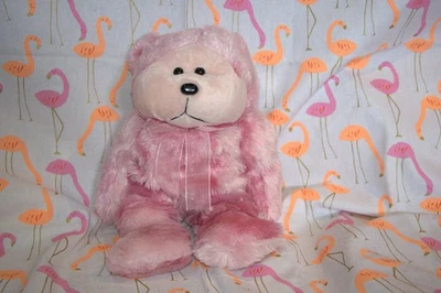 Fairy Floss The Great Big Kid Excellent Condition Unsold Stock
