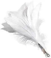 Bristol Novelty Black Feather Flower Clip (UK Size: One Size) (White)