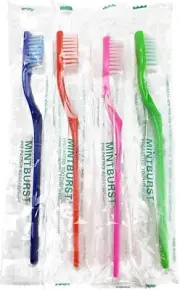 Plak Smacker Pre-pasted Toothbrush (4 Pack)