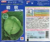在飛比找露天拍賣優惠-【花之鄉小舖】進口高級日本蔬菜種子--高麗菜 初秋
