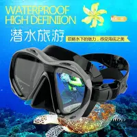 在飛比找Yahoo!奇摩拍賣優惠-成人浮潛水肺潛自由潛潛水面鏡 呼吸管遊