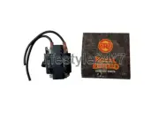 Genuine Royal Enfield "IGNITION COIL ASSEMBLY" For Twins Interceptor 650cc
