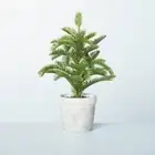 Hearth & Hand with Magnolia Faux Balsam Fir Tree in Washed Cement Pot NWT 16"