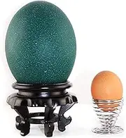Nurnesy Ostrich Egg Display Stand, Carving Crafts, Ostrich Egg Tray Base Bottom,Ornament for Homes or Offices,High Stability (Black)