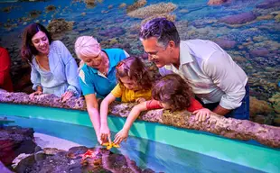 凱恩斯水族館門票＆珊瑚保育導覽之旅