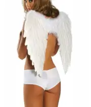 White Feather Angel Wings