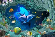 Aquarium Underwater 3D Kids Decal
