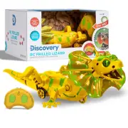Discovery Kids Robotic RC Frilled Lizard, DIY Pet, Wireless Controller STEM Toy