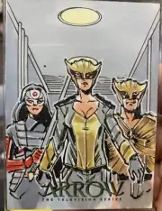 Arrow Season 4 Hand Drawn Sketch Card By Mitch Ballard Hawk girl Hawk Man 1/1