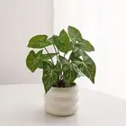 Fake Plants Artificial Succulent Bonsai Aloe Simulation Bonsai Office