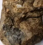 Australian Agate Rough Rock Tumbling Rough Mineral Specimen 655g