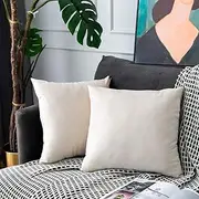Beige Velvet Throw Pillow Covers Square Soft Solid Decorative Pillowcase Set Cushion Case for Sofa Bedroom Office Chair 2 Pcs 20 x 20 inch 50 x 50 cm