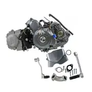 Lifan 125cc Semi Auto Engine Motor for Pit Dirt Bike Buggies Sunl Taotao Go Kart