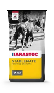 Barastoc Stablemate Grain Mix 20kg Fortified Grain Mix Horse Food Equine Feed