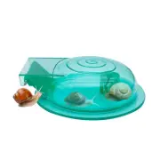 Transparent Snail Catcher Trap Cleaning Accessories Lightweight Planaria Removal