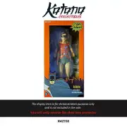 Protector For Neca Robin ¼ Scale Action Figure