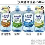 沙威隆抗菌保濕沐浴乳850G(蘆薈/茶樹/海洋/琥珀雪松) 經銷商經銷價 現貨 快速出貨