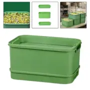 Seed Sprouts Tray Mini Greenhouse Versatile Saving Space Sprout Planting