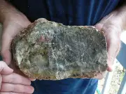 (DF849-5) 8-1/2" Fossil REAL DINOSAUR POOP Coprolite Dino Valley Utah DUNG Poo
