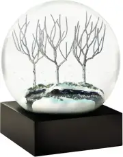 Winter Cool Snow Globe