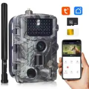 30MP 2K 4G Outdoor Infrared Hunt Camera Remote Mobile APP Control To View Photo