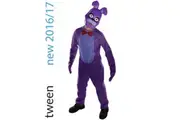 Five Nights at Freddys Bonnie Tween Boys Costume
