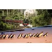 Save 4.99%! Puffing Billy and Penguin Parade Day Tour From Melbourne