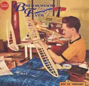 3 Sizes WHIRLWIND PLANS + CONSTRUCTION ARTICLE 1/2A Gull-Wing FF Model Airplane