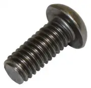Windshield Hinge Screw-Frame Screw Crown 4004956SS