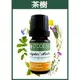 【歐丹尼】茶樹精油10ml-單方純精油