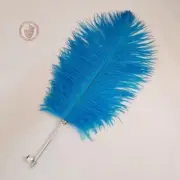 Ostrich Feather Quill Pen Writing Blue Ball Point