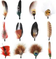Hat Feathers, 12PCS Assorted Natural Real Feathers for DIY Western Cowboy Hats