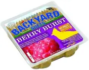 Backyard Seeds Berry Burst Suet Cake 12 Pack