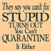 REUSABLE STENCIL 9716 U 12"x12" FIX STUPID Quarantine MYLAR STENCILS