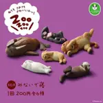 扭蛋 睡眠動物 休眠動物 熊貓之穴