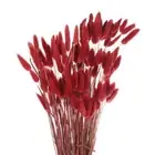 50Pcs Pampas Artificial Grass,17" Fake Pampas for Wedding Decoration, Red