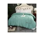 Soft Silk Quilt Breathable Silk Comforter Warmth for Winter Quilt for Queen Comforter-green