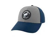 Ford Bronco Built Wild Low Profile Snapback Hat
