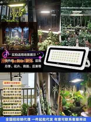 【可開發票】攜陽植物補光燈仿太陽全光譜家用 花卉室內日照盆景led植物生長燈