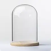 Glass Cloche Dome Display with Solid Wood Base for Displaying Plants, Ornaments, Figurines Dia 20 cm(20*25cm)