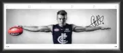 Patrick CRIPPS Carlton Blues WINGS SIGNED & FRAMED AFL TRIBUTE OFFICIAL