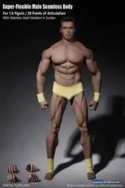 1/6 Seamless Male Body Muscular Action Figure Tbleague Phicen For 12inch Doll