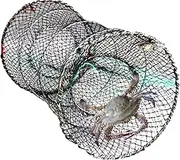 Fish Traps - Fishing Bait Trap - Multifunctional Foldable Floating Bait Cage Cast Net for Freshwater Trapping Beach Seining Tidal Zones Reefs Survival