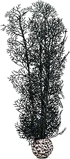 biOrb 46097.0 Sea Fan Medium Black Aquariums 3 x 3 x 14.2 inches