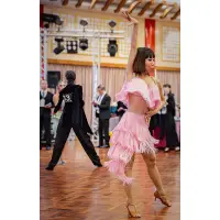 在飛比找蝦皮購物優惠-Latin Dance Dress 國標拉丁舞比賽表演裙