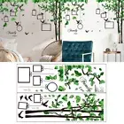 Stickers Wall Sticker Background Stickers Wall Sticker Wall Stickers Green Tree