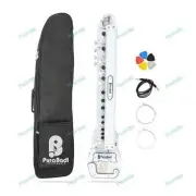 Indian Professional Bulbul Tarang Electric Banjo 29 Keys, 6 String with Bag