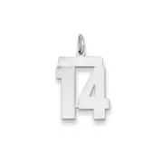 14k White Gold WG Medium Polished Number 14 Charm