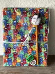 Cat Gift Set - Notebook, Cat Pencil, Sharpener, Eraser
