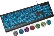 SABLUTE Large Print Backlit Keyboard, Wired USB Lighted Computer Black